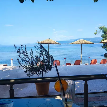 αdonis * Agiokampos (Evia)