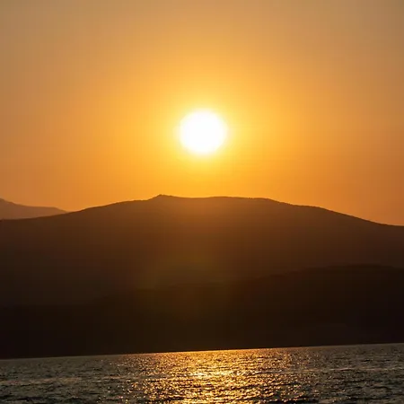 αdonis * Agiokampos (Evia)