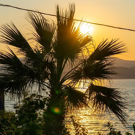 αdonis Appartamento *