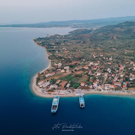 αdonis * Agiokampos (Evia)