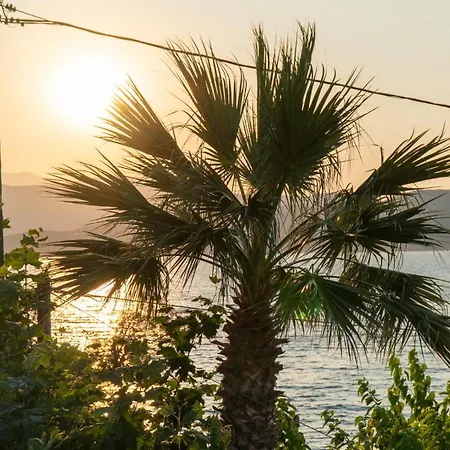 Appartement αdonis *