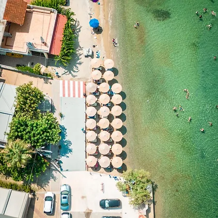 Apartment αdonis *